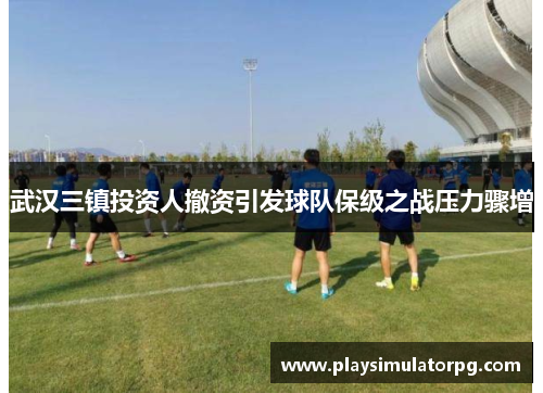 武汉三镇投资人撤资引发球队保级之战压力骤增 武汉三镇投资人撤资引发球队保级之战压力骤增